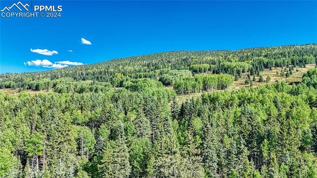 72 Troy Way, Cripple Creek, CO 80813