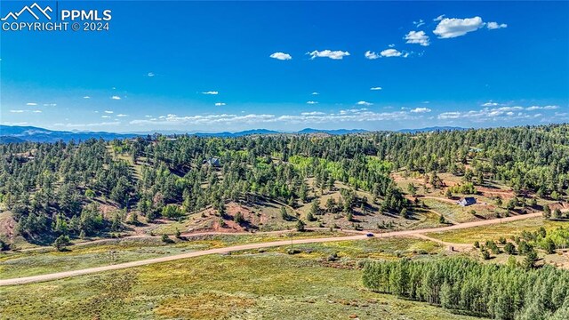 72 Troy Way, Cripple Creek, CO 80813