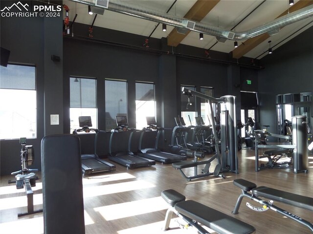 workout area featuring high vaulted ceiling and hardwood / wood-style floors