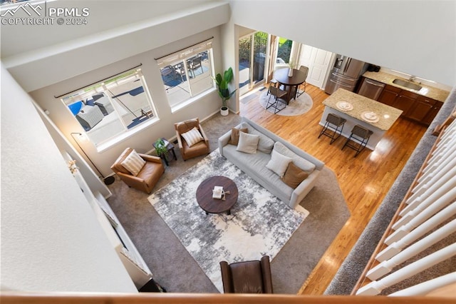 living room with hardwood / wood-style flooring, lofted ceiling, and sink