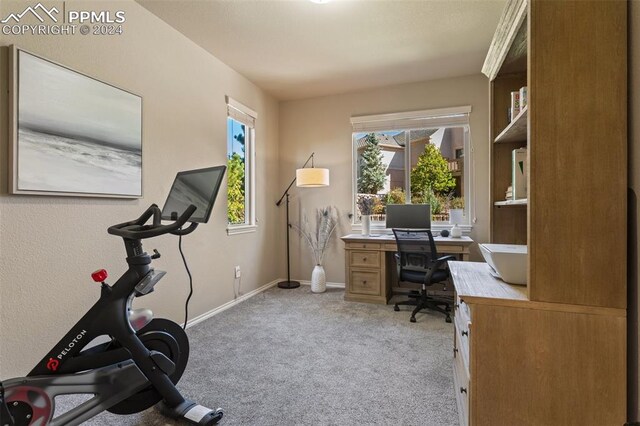 office space featuring light colored carpet