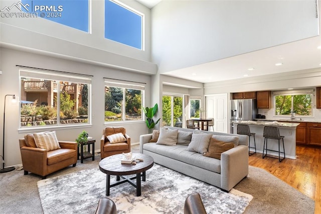 living room with sink, a towering ceiling, light hardwood / wood-style floors, and a healthy amount of sunlight