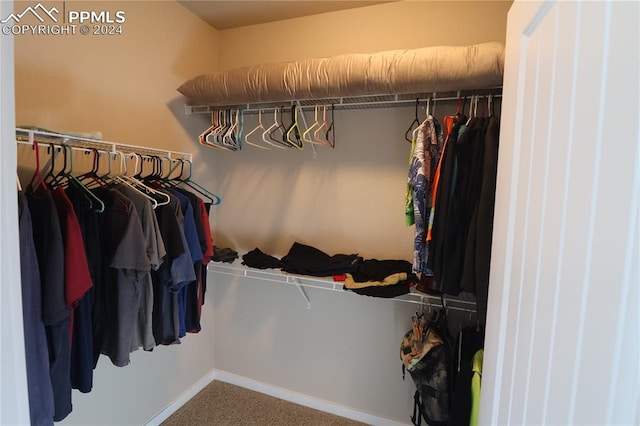 walk in closet featuring carpet flooring