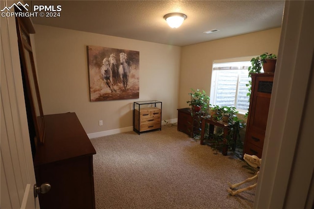 interior space with carpet floors and a textured ceiling