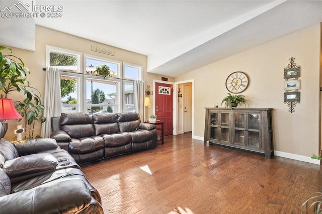 living room with dark wood-type flooring