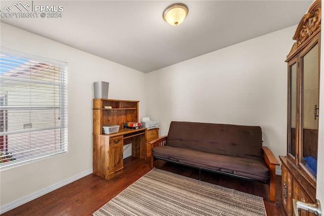 living area with dark hardwood / wood-style flooring