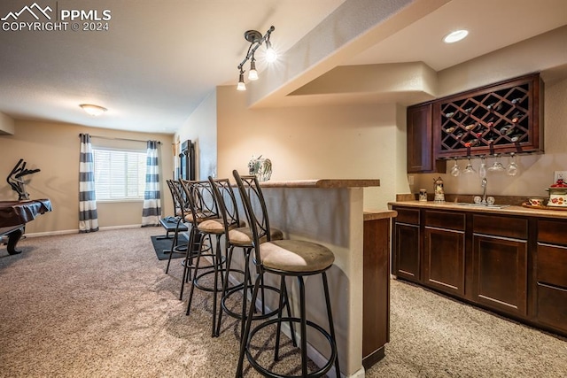 bar with light carpet, dark brown cabinets, and sink