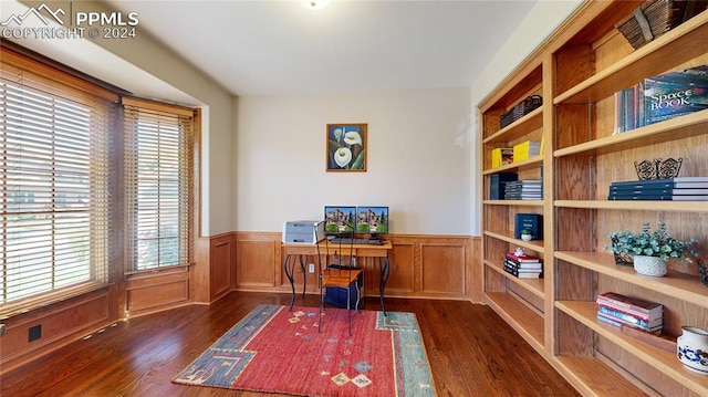 office featuring dark wood-type flooring