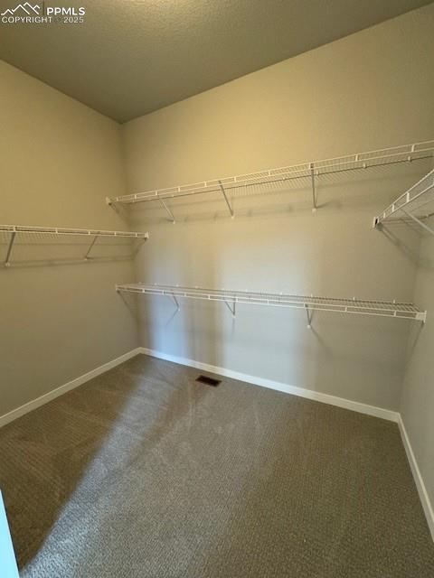 spacious closet with carpet floors