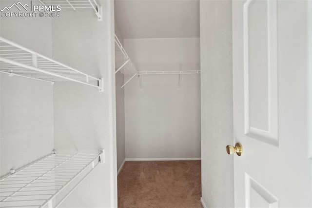 spacious closet with carpet flooring