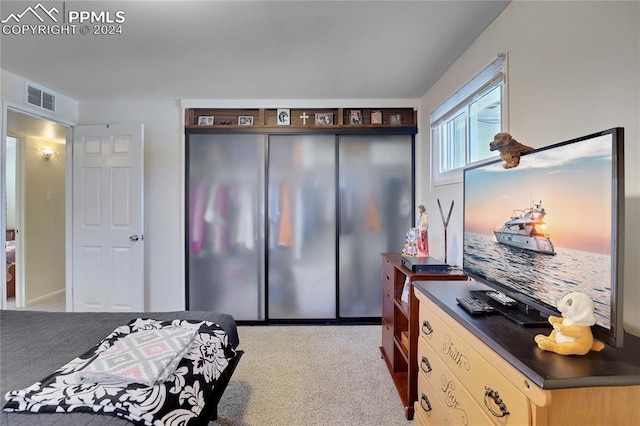 carpeted bedroom featuring a closet