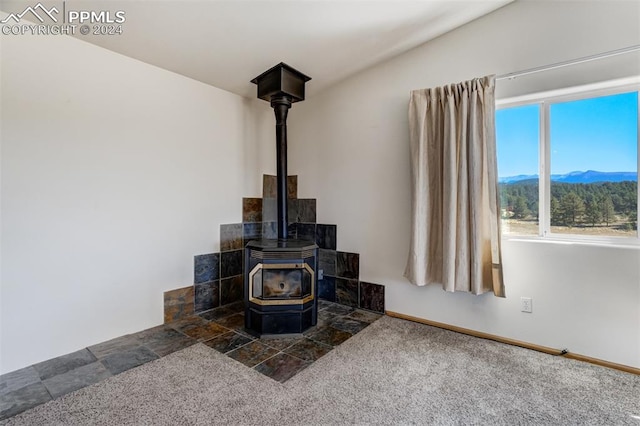 room details featuring carpet floors, a mountain view, and a wood stove