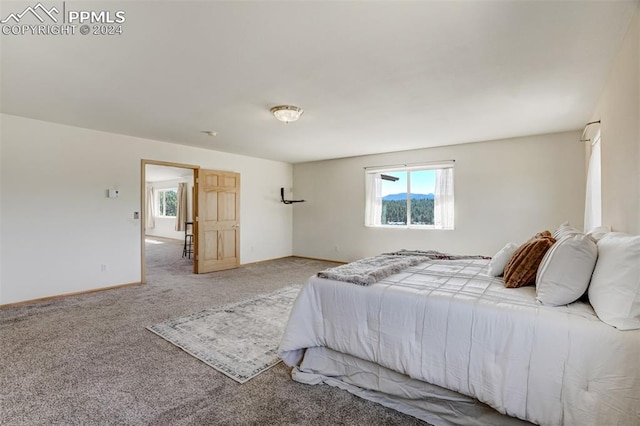 view of carpeted bedroom