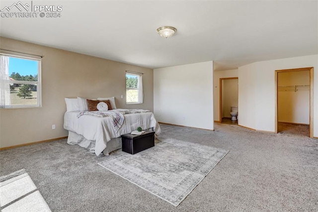 carpeted bedroom featuring a spacious closet and a closet