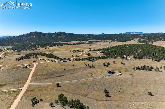 birds eye view of property with a rural view and a mountain view