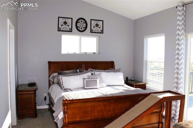 bedroom featuring carpet