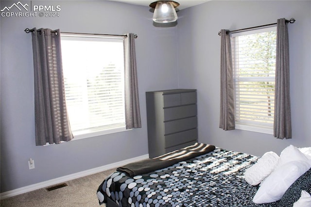 bedroom with carpet floors