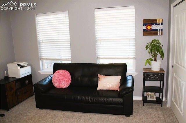 living room featuring light colored carpet