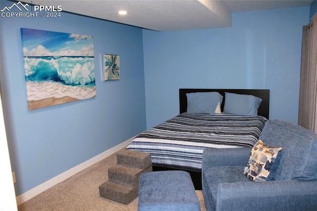 view of carpeted bedroom