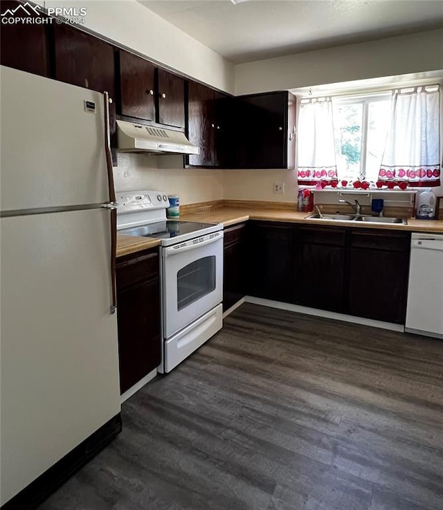 kitchen featuring dark hardwood / wood-style flooring, dark brown cabinetry, sink, and white appliances