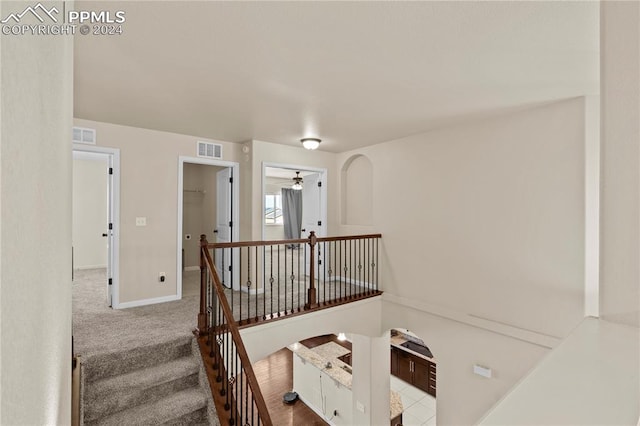 staircase featuring carpet flooring