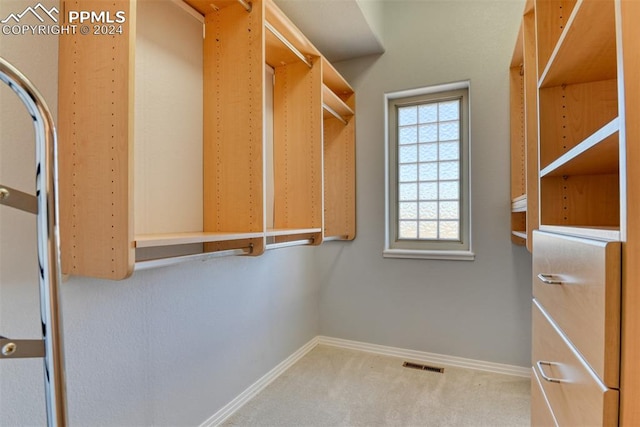 spacious closet with carpet floors