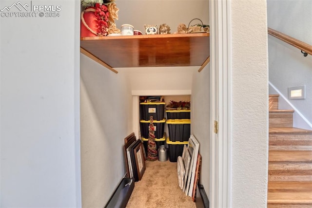 walk in closet featuring light carpet