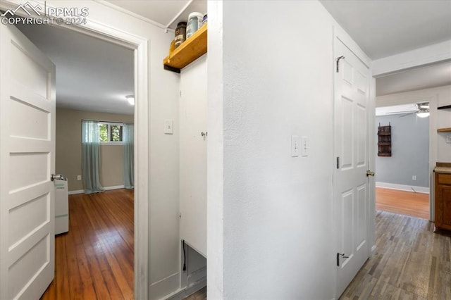 hall featuring wood-type flooring