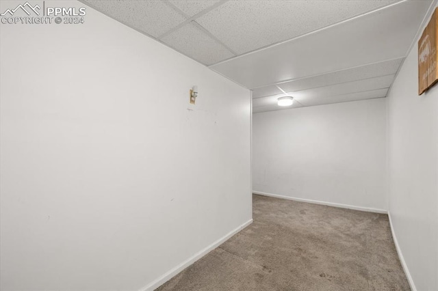 basement featuring carpet and a paneled ceiling