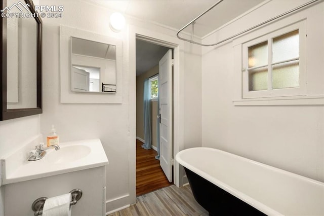 bathroom featuring hardwood / wood-style floors, a tub, and vanity