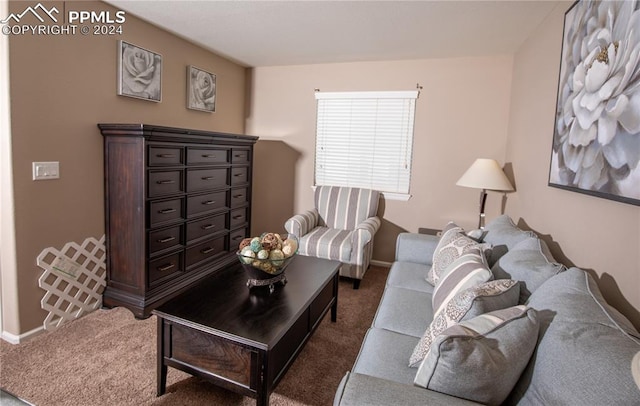 6777 Ironwood Tree Cir, Colorado Springs, CO 80927 - living room featuring baseboards and carpet flooring