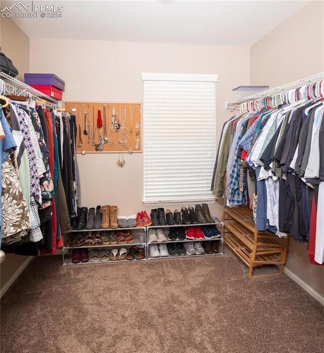 6777 Ironwood Tree Cir, Colorado Springs, CO 80927 - walk in closet with carpet