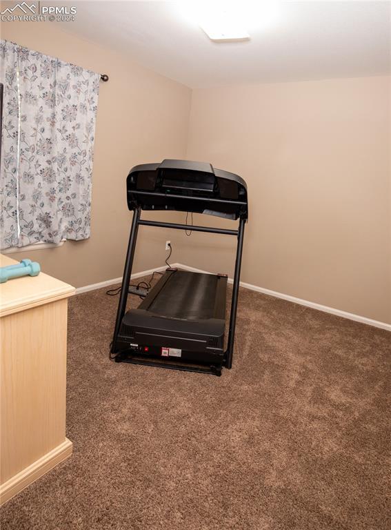 6777 Ironwood Tree Cir, Colorado Springs, CO 80927 - workout area with carpet floors and baseboards