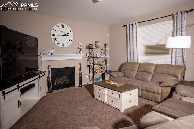6777 Ironwood Tree Cir, Colorado Springs, CO 80927 - living area featuring a fireplace and dark colored carpet