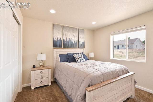 carpeted bedroom with a closet