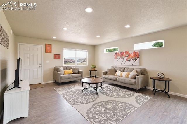 living room with a textured ceiling and hardwood / wood-style flooring