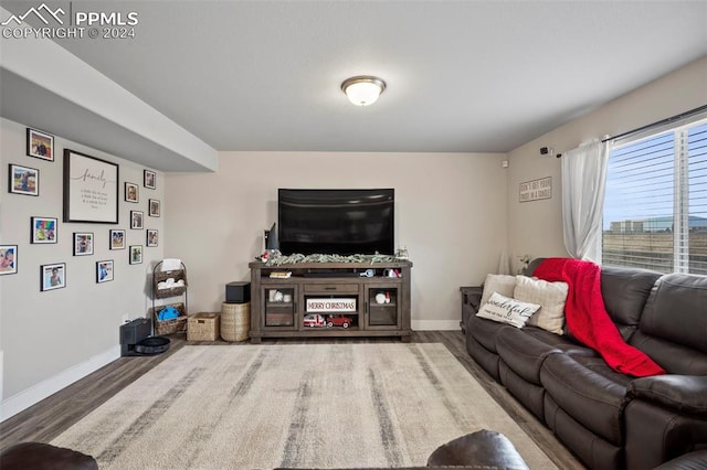 living room with wood-type flooring