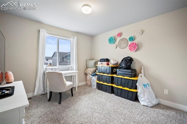 bedroom featuring carpet