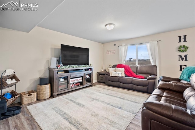 living room featuring hardwood / wood-style flooring