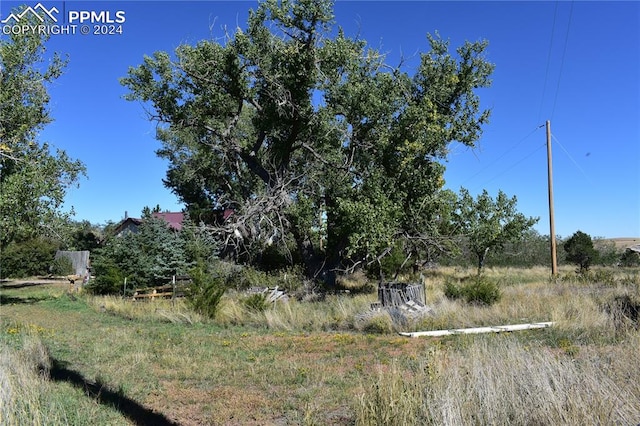 view of local wilderness