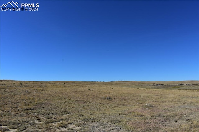 view of local wilderness with a rural view