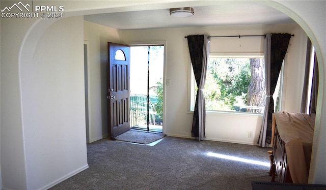 doorway to outside featuring baseboards, carpet floors, arched walkways, and a healthy amount of sunlight