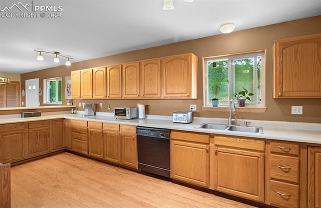 kitchen with black dishwasher, light hardwood / wood-style floors, sink, and a healthy amount of sunlight