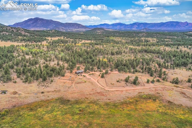 birds eye view of property with a mountain view