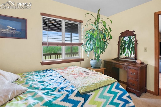 view of carpeted bedroom