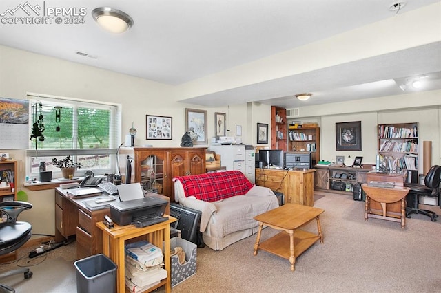 view of carpeted living room