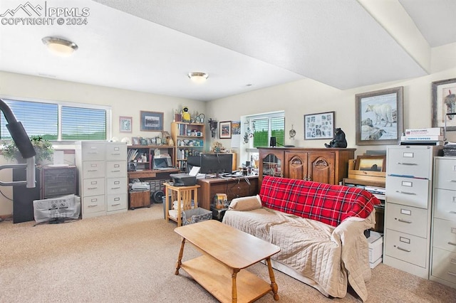 living room featuring light colored carpet