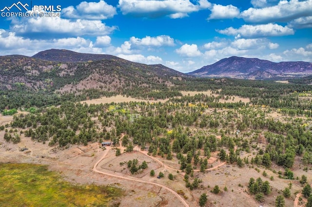 view of mountain feature