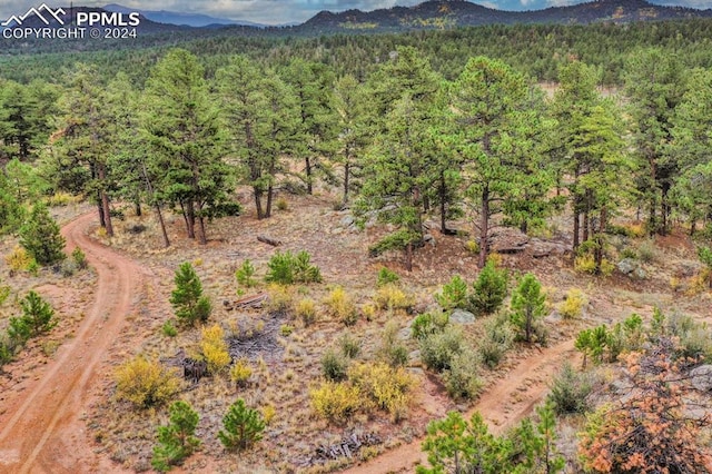 property view of mountains