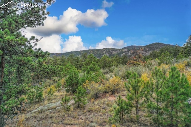 property view of mountains